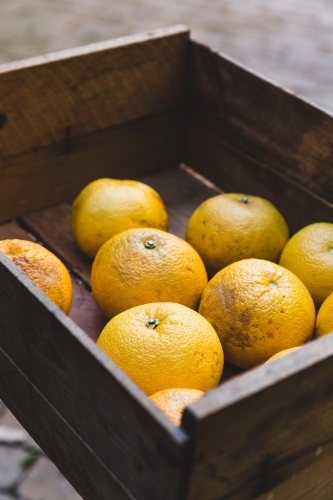 Close up of rustic timber box of orange citrus fruit in yard on table