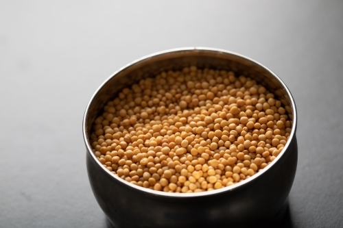 Close up of spice tin with yellow mustard seeds - Australian Stock Image