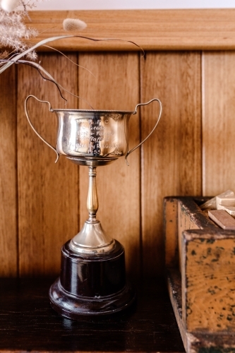 Close-up of trophy against wooden wall in home - Australian Stock Image
