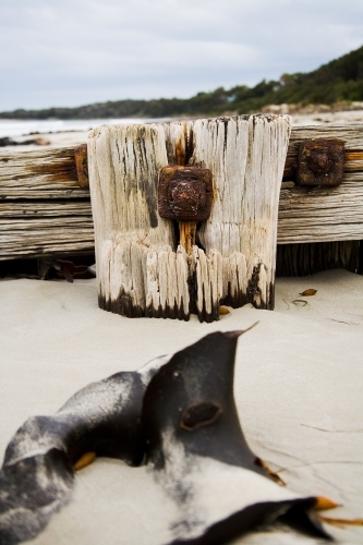 close up of weathered pylon with seaweed in foreground - Australian Stock Image