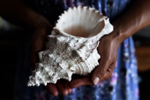 Close up of woman's hands holding pretty, tropical seashell
