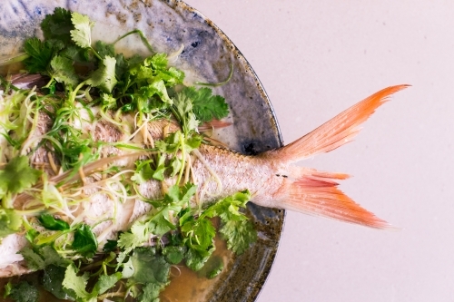 Close up shot of a red fish dish with parsley on top on a gray stone platter - Australian Stock Image