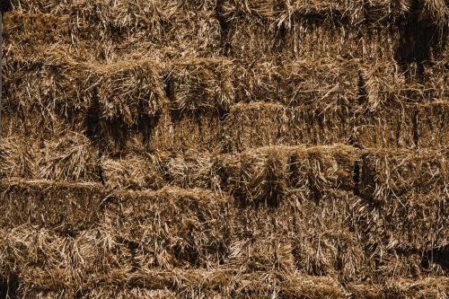Close up shot of a hay bales