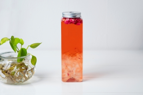 Close up shot of a rose tea in a long container with a plant on the side - Australian Stock Image