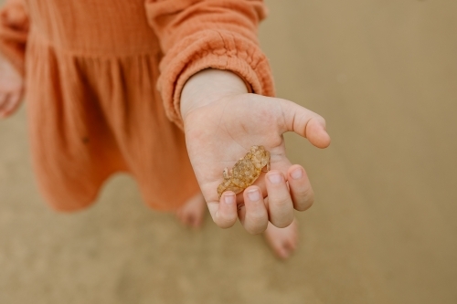 Close up shot of a small crab in the palm of a child wearing an  orange dress