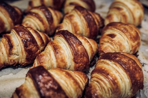 Close up shot of fresh baked croissants