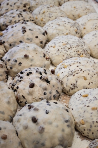 Close up shot of organic sourdough resting after being shaped - Australian Stock Image