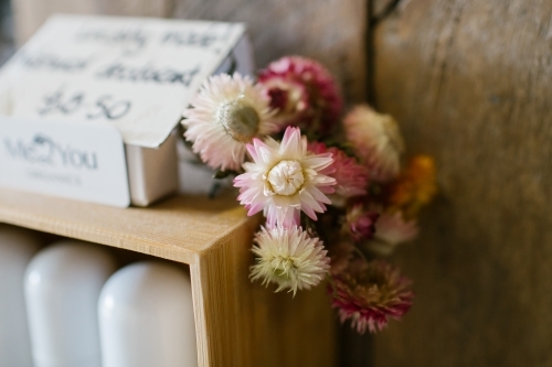 close up shot of pink and white flowers on top of a shelf