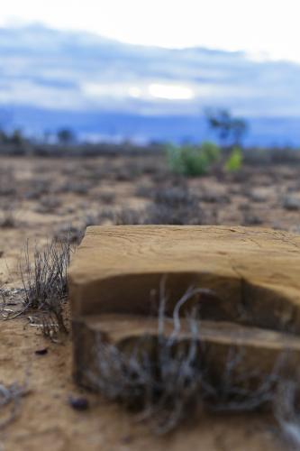 Close up view of weathered rock and dry grass in remote location - Australian Stock Image