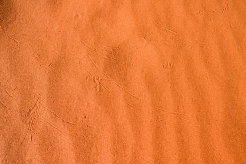 Closeup of bright orange desert sand with animal prints and trails