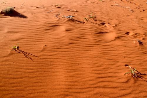 Closeup shot of deep orange desert sands with ripples - Australian Stock Image