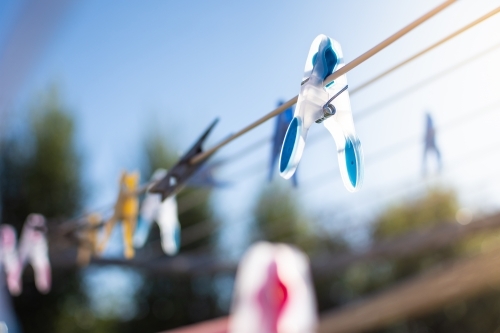 Clothesline Pegs hanging on a sunny morning
