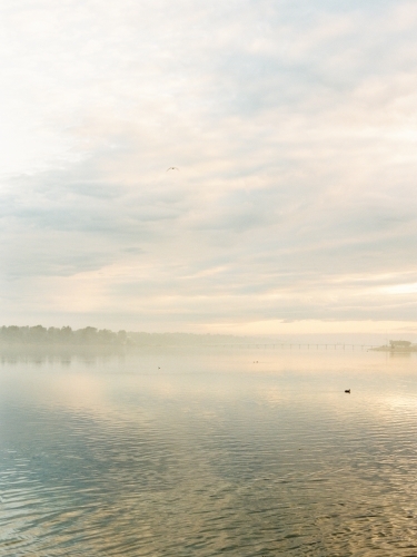 Cloud and mist over water at sunrise. - Australian Stock Image