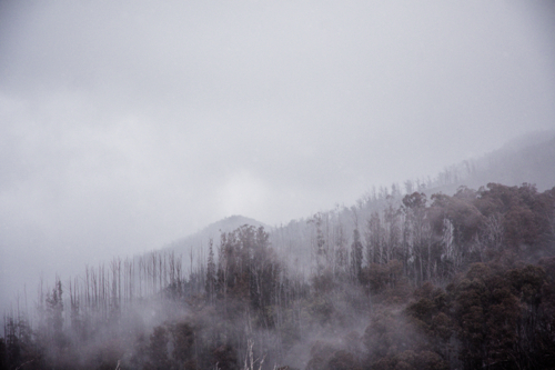 Cloudy, misty view of trees and mountains - Australian Stock Image