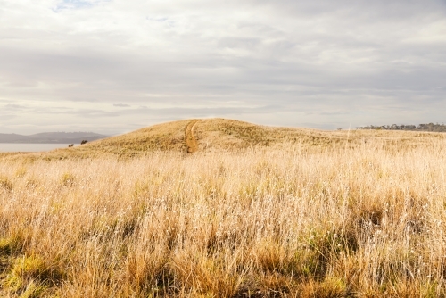 Cloudy sky over low grassland in public coastal nature reserve - Australian Stock Image