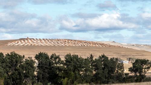 Coal Mine regeneration area - Australian Stock Image