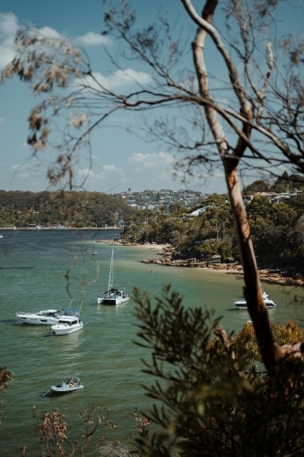 Coast views of boats on the water near Castle Rock Beach as seen from Spit to Manly Walk - Australian Stock Image