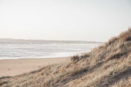 Coastal grass on sand dune with ocean in the background at sunset - Australian Stock Image
