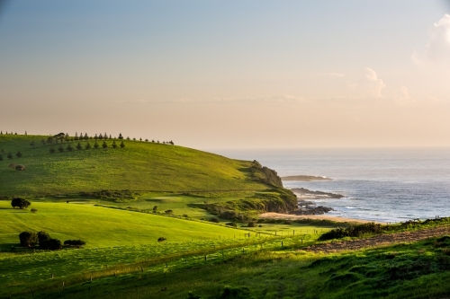 Coastal landscape of rolling green hills and a beach