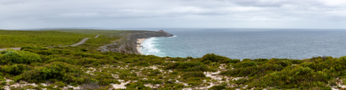 Coastal Panorama with Green Scrub and Ocean at Kangaroo Island - Australian Stock Image
