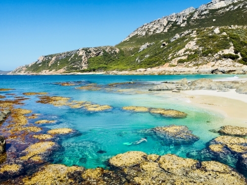 coastal seascape of clear lagoon and sea cliffs with female snorkeler underwater - Australian Stock Image