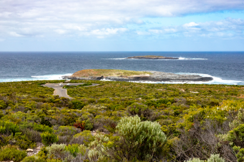 Coastal View with Offshore Island from Admirals Arch, Kangaroo Island - Australian Stock Image