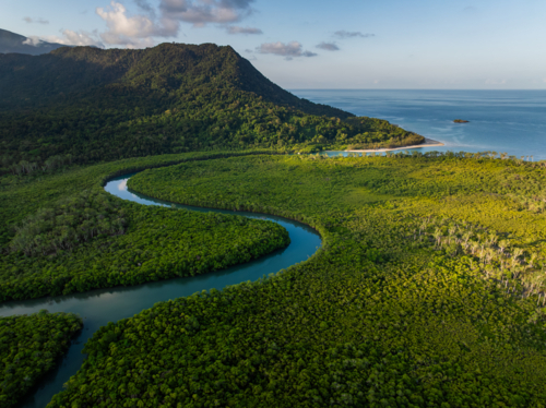 Coastal waterways along the Daintree Coast - Australian Stock Image