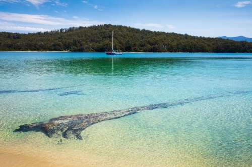 Cockle Creek - Australian Stock Image