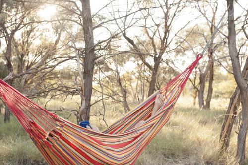 coffee at sunrise in camp hammock