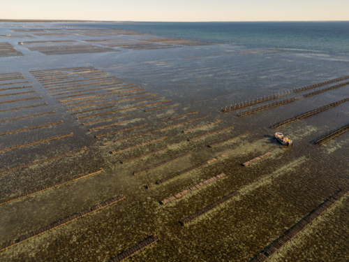 Coffin Bay oyster farm from air - Australian Stock Image