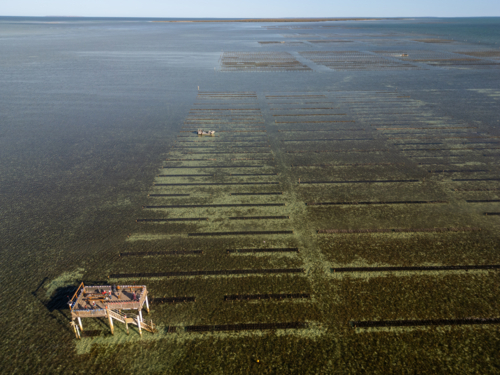 Coffin Bay oyster farm from air - Australian Stock Image