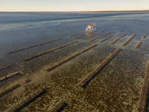 Coffin Bay oyster farm from air - Australian Stock Image