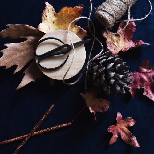 Collection of autumn inspirational objects on dark navy background