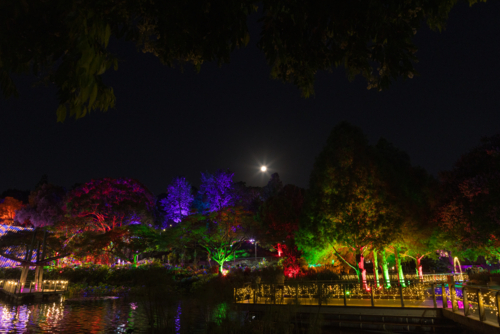 Colourful night‑time garden scene illuminated by vibrant lights with reflections on calm water - Australian Stock Image