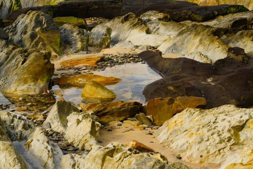 Colourful rocks and corals around a rock pool - Australian Stock Image