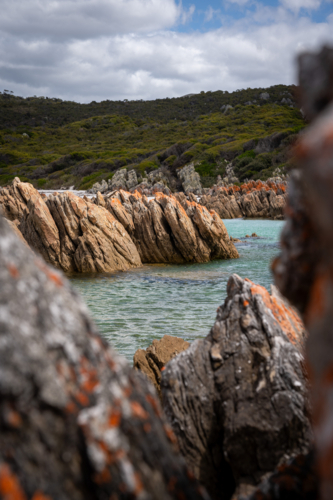 Colourful rocks and shore of the Rocky Cape National Park - Australian Stock Image