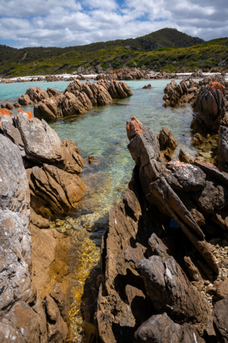 Colourful rocks and shore of the Rocky Cape National Park - Australian Stock Image