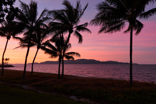 Colourful sunset with palm trees and island - Australian Stock Image