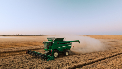 Combine harvester gathering crops and leaving dusts in the field. - Australian Stock Image