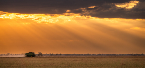 Combine harvester moving through the crops leaving dusts at sunset - Australian Stock Image