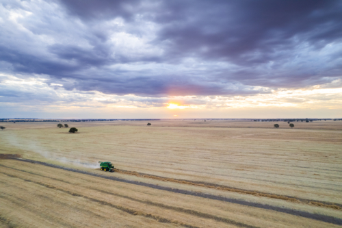 combine harvester moving through the farm field at sunset - Australian Stock Image