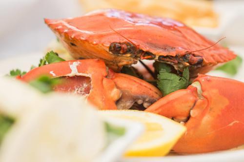 cooked mudcrab - Australian Stock Image