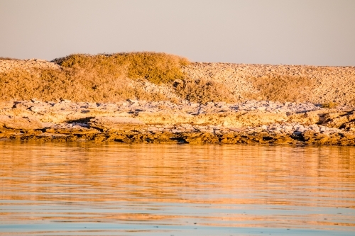 Coral island at the Abrolhos Islands at sunset with warm golden colours