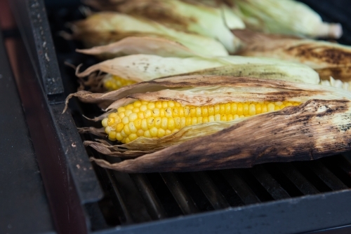 Corn on the cob on the barbecue