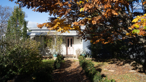 Cottage seen through the trees - Australian Stock Image