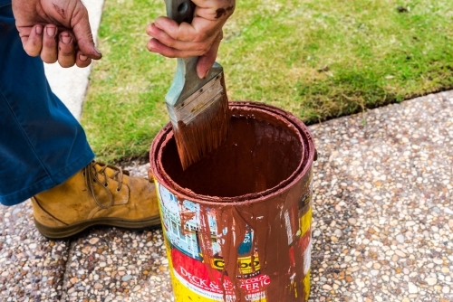 Council worker cleaning paint brush against the rim of the paint tin - Australian Stock Image