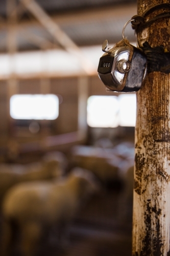 Counter attached to post in shearing shed - Australian Stock Image
