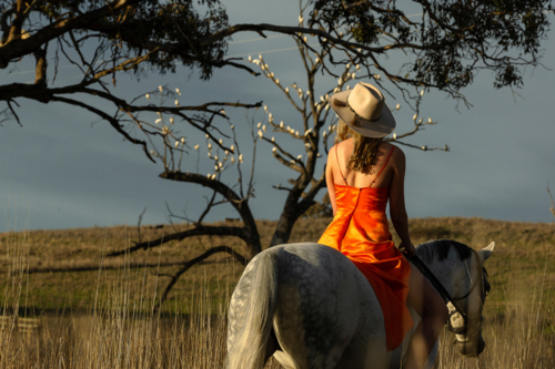Country Cowgirl - Australian Stock Image