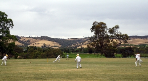 Country cricket match in the Barossa Valley
