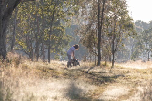 Country female teen working along a pathway in the bush during golden hour - Australian Stock Image